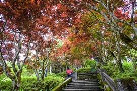 太平山莊(午餐)