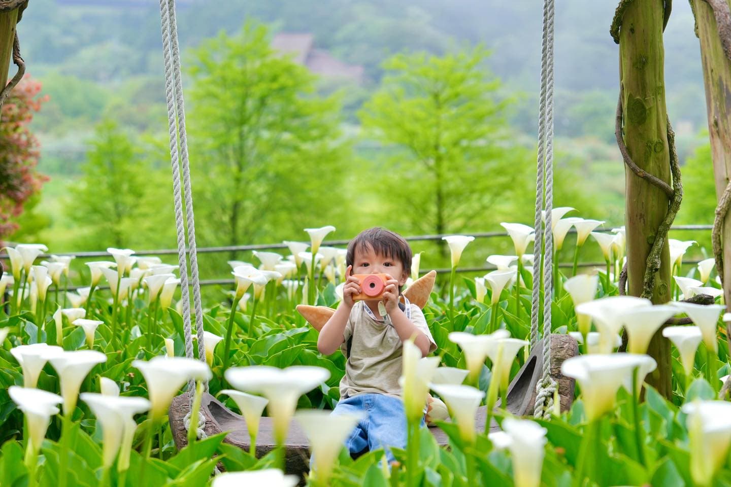 陽明山遊 · 北投溫泉 + 花季